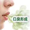 口臭成因全解析：口腔细菌导致口臭的来龙去脉